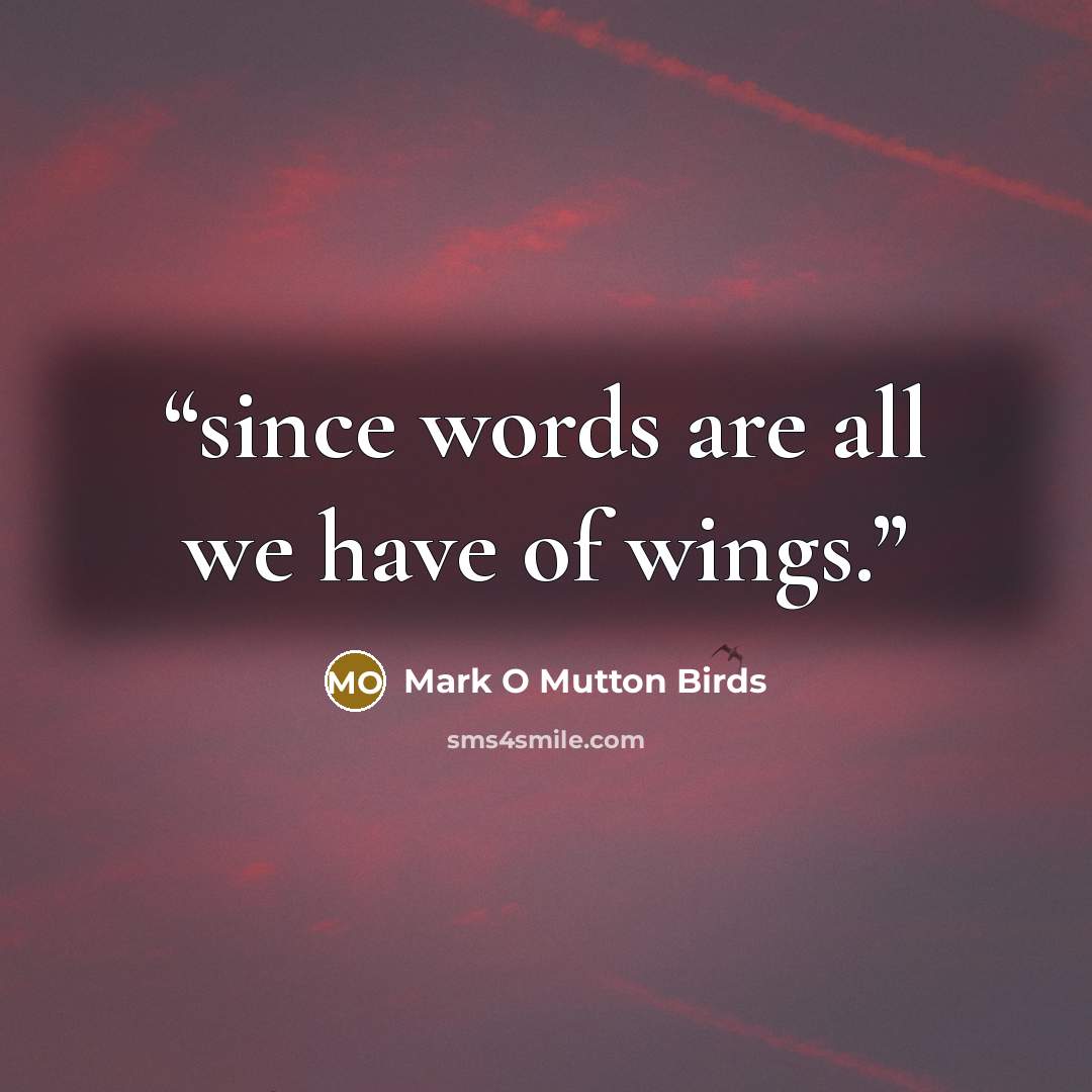 “since words are all we have of wings.” quote by Mark O Mutton Birds