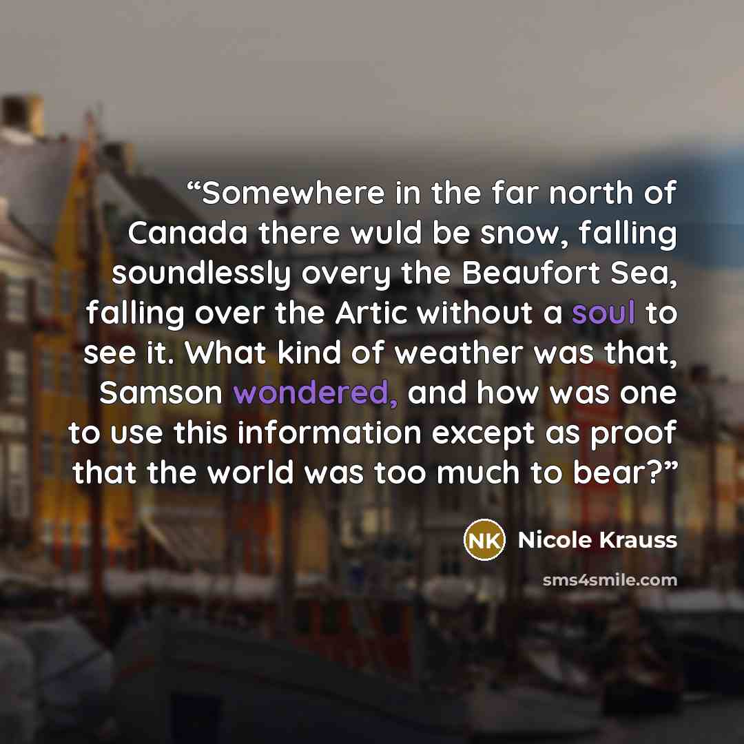 “Somewhere in the far north of Canada there wuld be snow, falling soundlessly overy the Beaufort Sea, falling over the Artic without a soul to see it. What kind of weather was that, Samson wondered, and how was one to use this information except as proof that the world was too much to bear?” quote by Nicole Krauss