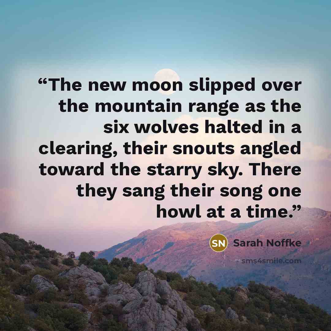 “The new moon slipped over the mountain range as the six wolves halted in a clearing, their snouts angled toward the starry sky. There they sang their song one howl at a time.” quote by Sarah Noffke