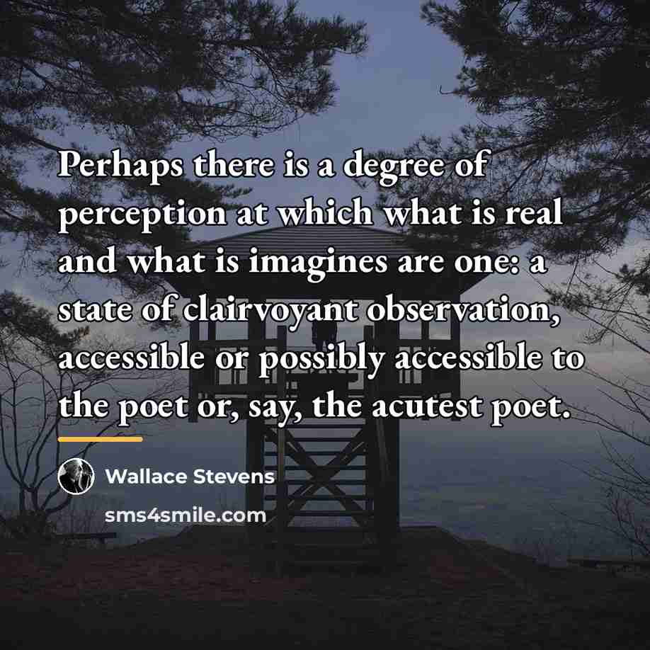“Perhaps there is a degree of perception at which what…” quote by Wallace Stevens
