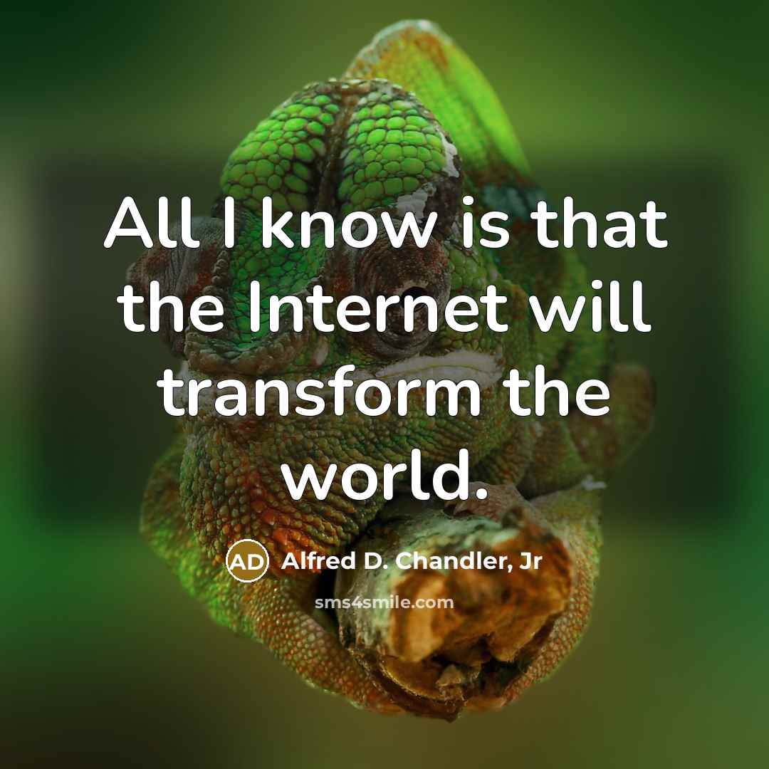 “All I know is that the Internet will transform the…” quote by Alfred D. Chandler, Jr