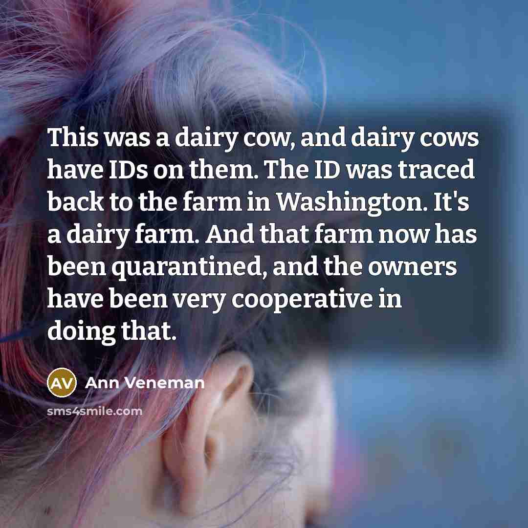 “This was a dairy cow, and dairy cows have IDs…” quote by Ann Veneman