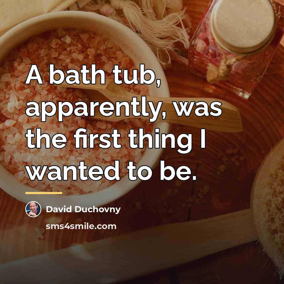 “A bath tub, apparently, was the first thing I wanted…” quote by David Duchovny