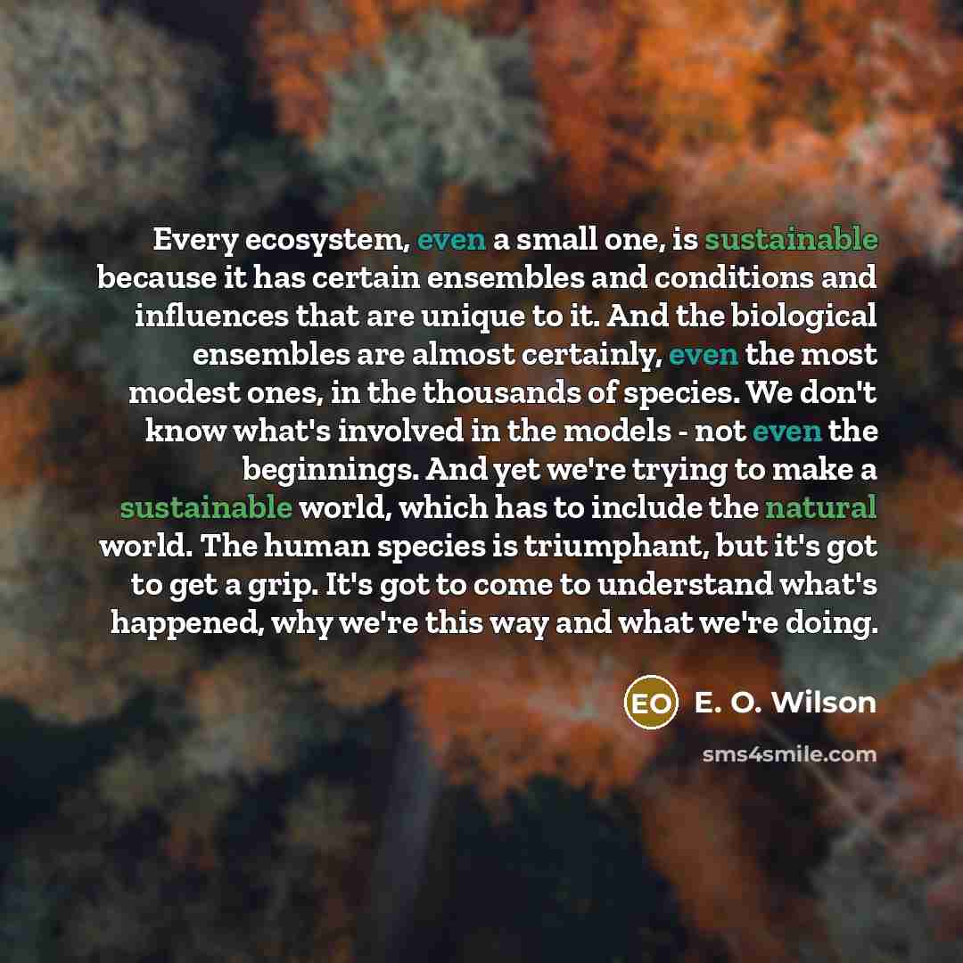 “Every ecosystem, even a small one, is sustainable because it has certain ensembles and conditions and influences that are unique to it. And the biological ensembles are almost certainly, even the most modest ones, in the thousands of species. We don't know what's involved in the models - not even…” quote by E. O. Wilson