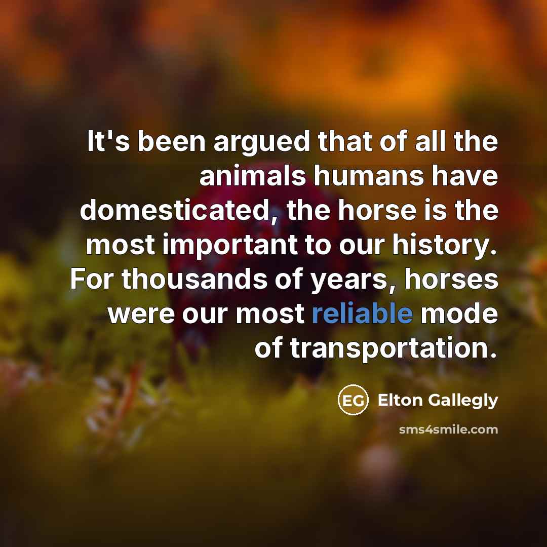 “It's been argued that of all the animals humans have…” quote by Elton Gallegly