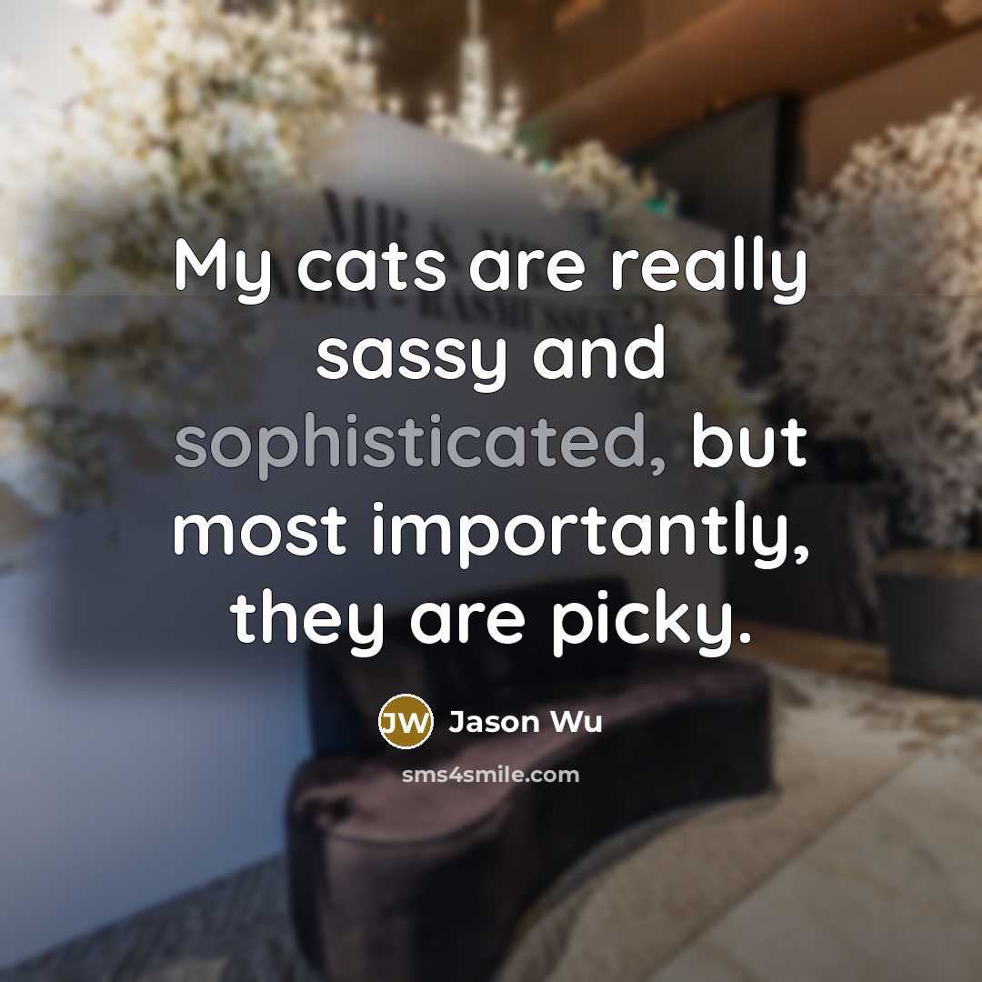 “My cats are really sassy and sophisticated, but most importantly,…” quote by Jason Wu