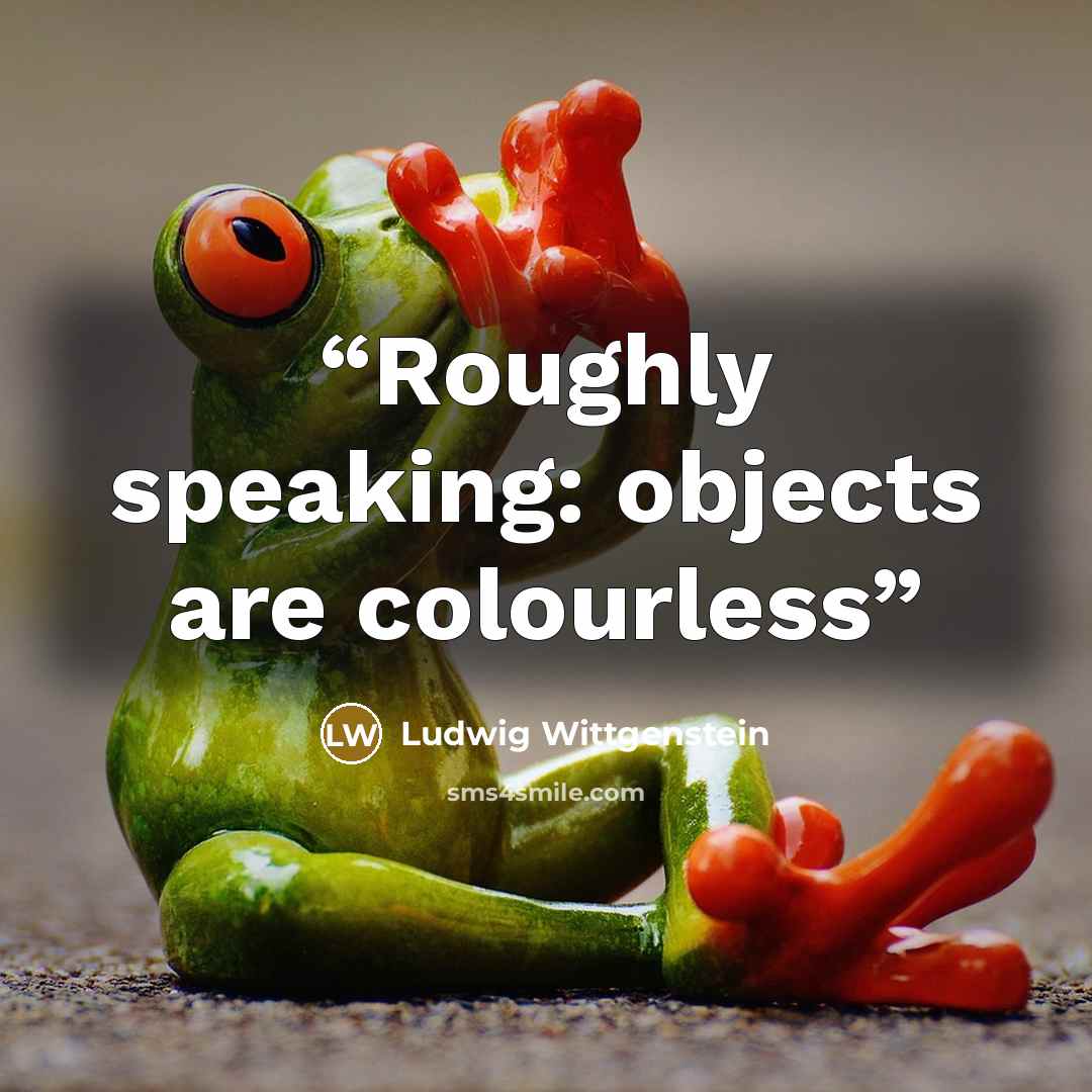 “Roughly speaking: objects are colourless” quote by Ludwig Wittgenstein