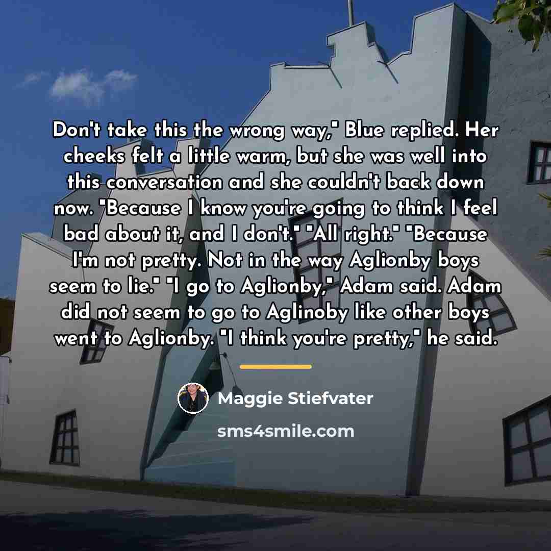 “Don't take this the wrong way," Blue replied. Her cheeks…” quote by Maggie Stiefvater