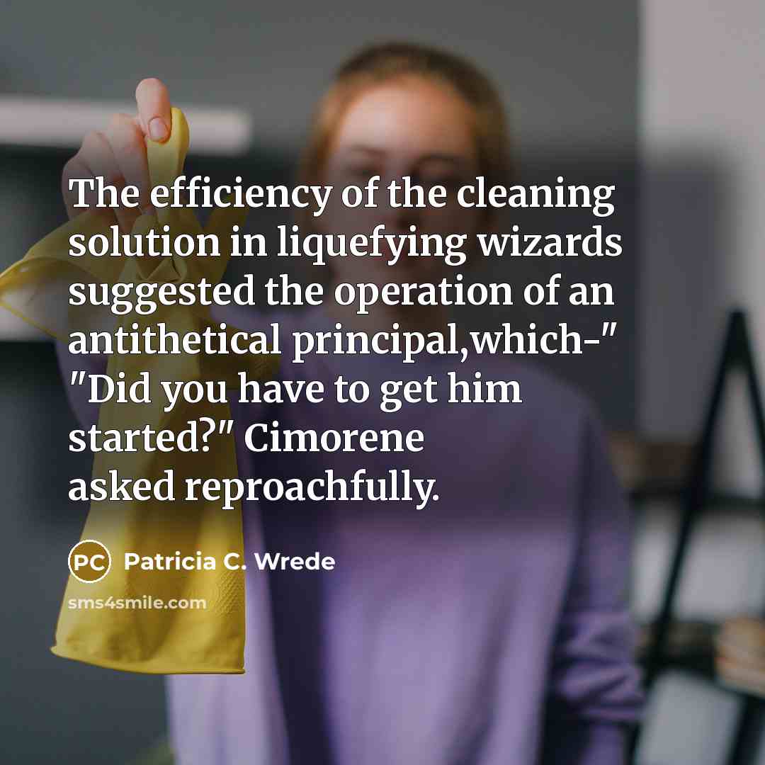 “The efficiency of the cleaning solution in liquefying wizards suggested…” quote by Patricia C. Wrede