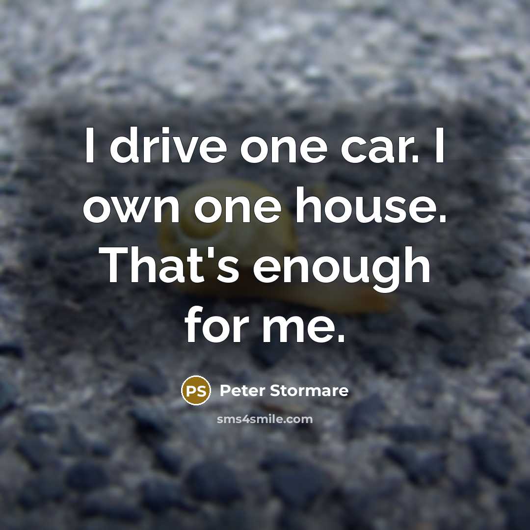 “I drive one car. I own one house. That's enough…” quote by Peter Stormare