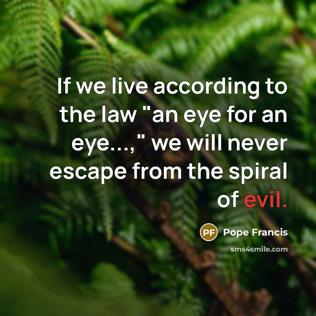 “If we live according to the law "an eye for…” quote by Pope Francis