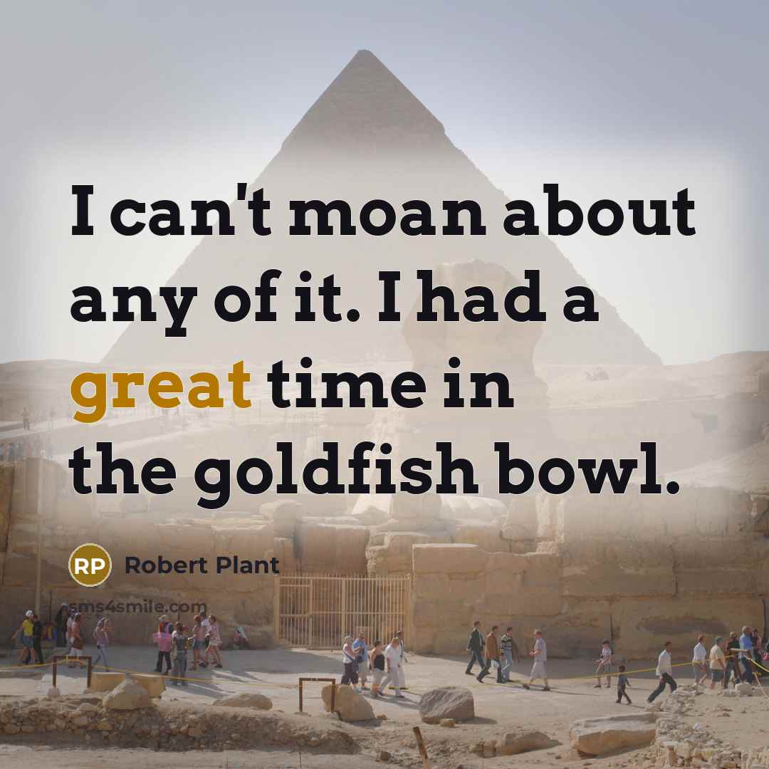 “I can't moan about any of it. I had a…” quote by Robert Plant