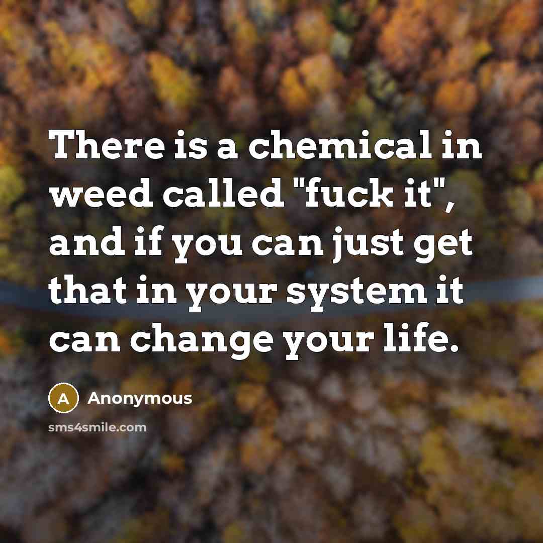“There is a chemical in weed called "fuck it", and…” quote by Anonymous