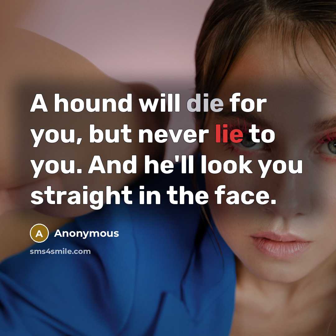 “A hound will die for you, but never lie to you. And he'll look you straight in the face.” quote by Anonymous