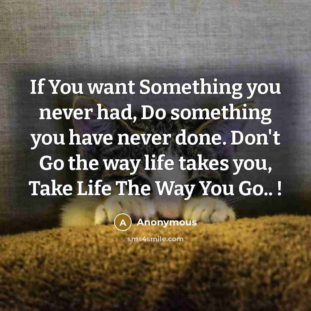 “If You want Something you never had, Do something you…” quote by Anonymous