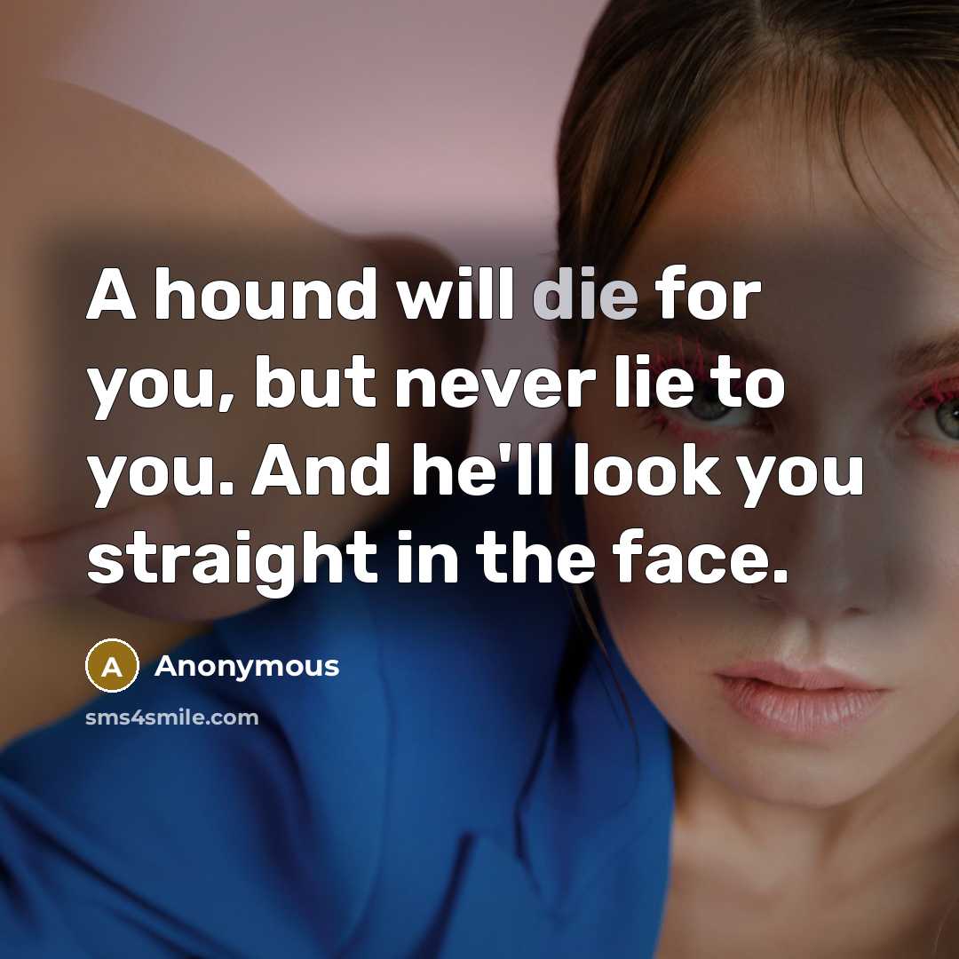 “A hound will die for you, but never lie to…” quote by Anonymous
