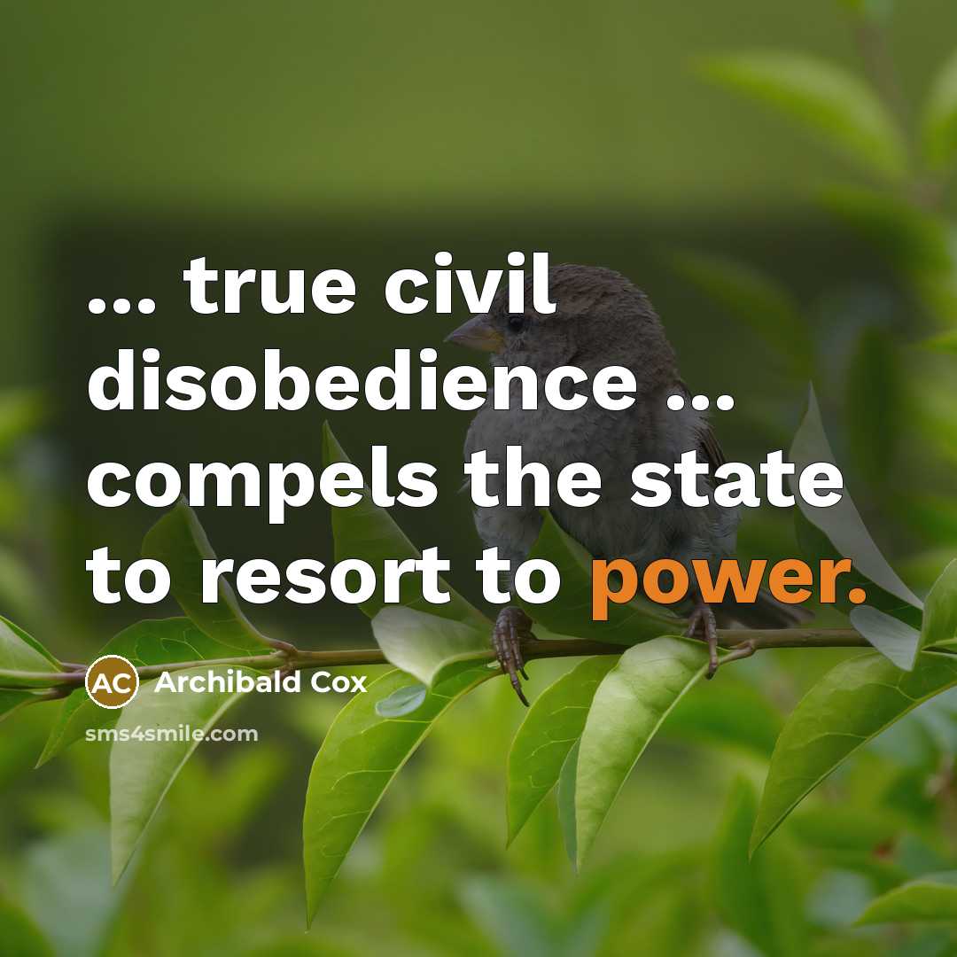 “... true civil disobedience ... compels the state to resort…” quote by Archibald Cox