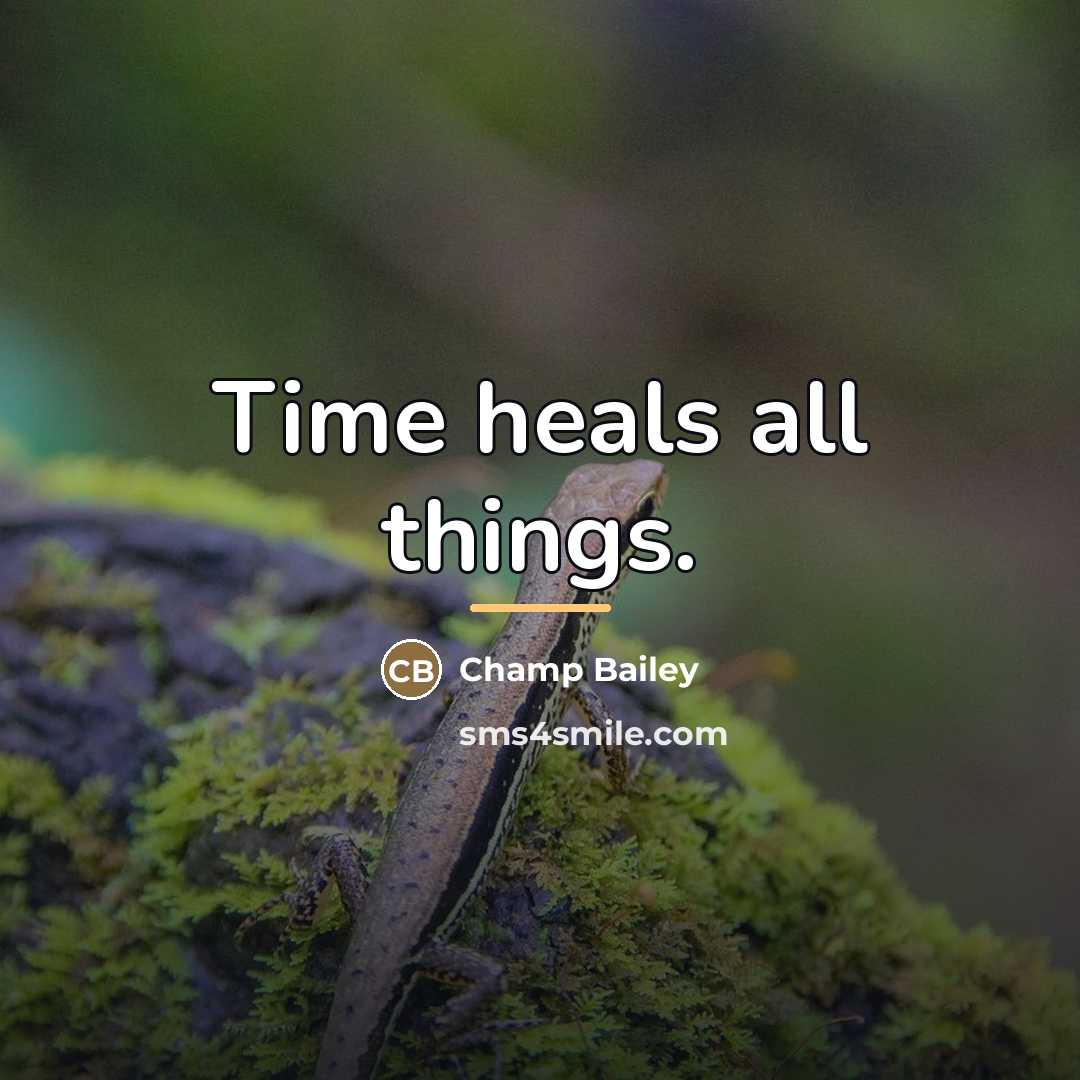 “Time heals all things.…” quote by Champ Bailey