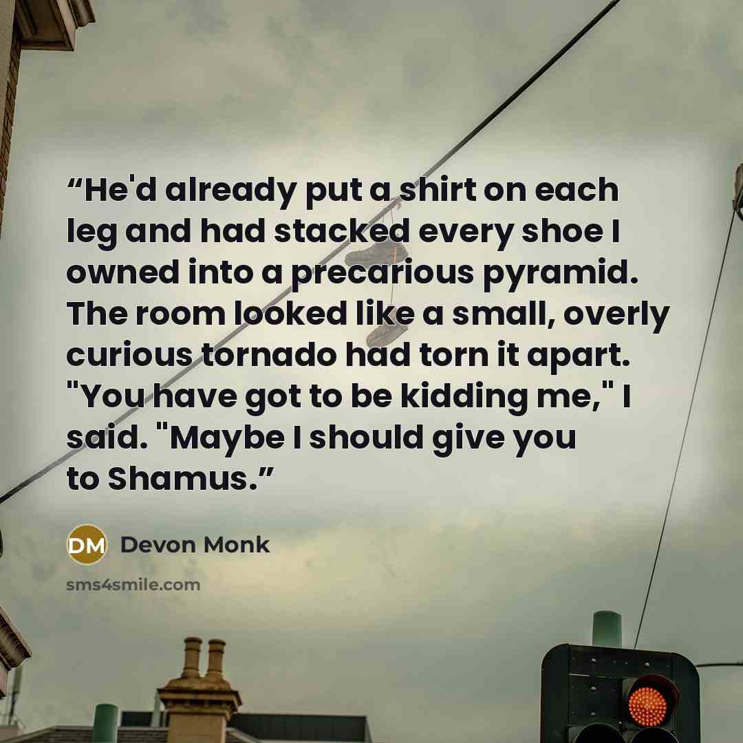“He'd already put a shirt on each leg and had stacked every shoe I owned into a precarious pyramid. The room looked like a small, overly curious tornado had torn it apart. "You have got to be kidding me," I said. "Maybe I should give you to Shamus.” quote by Devon Monk