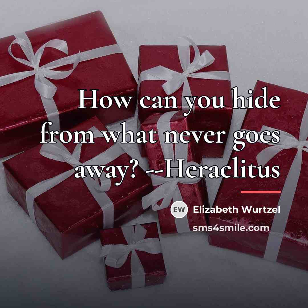 “How can you hide from what never goes away? --Heraclitus…” quote by Elizabeth Wurtzel