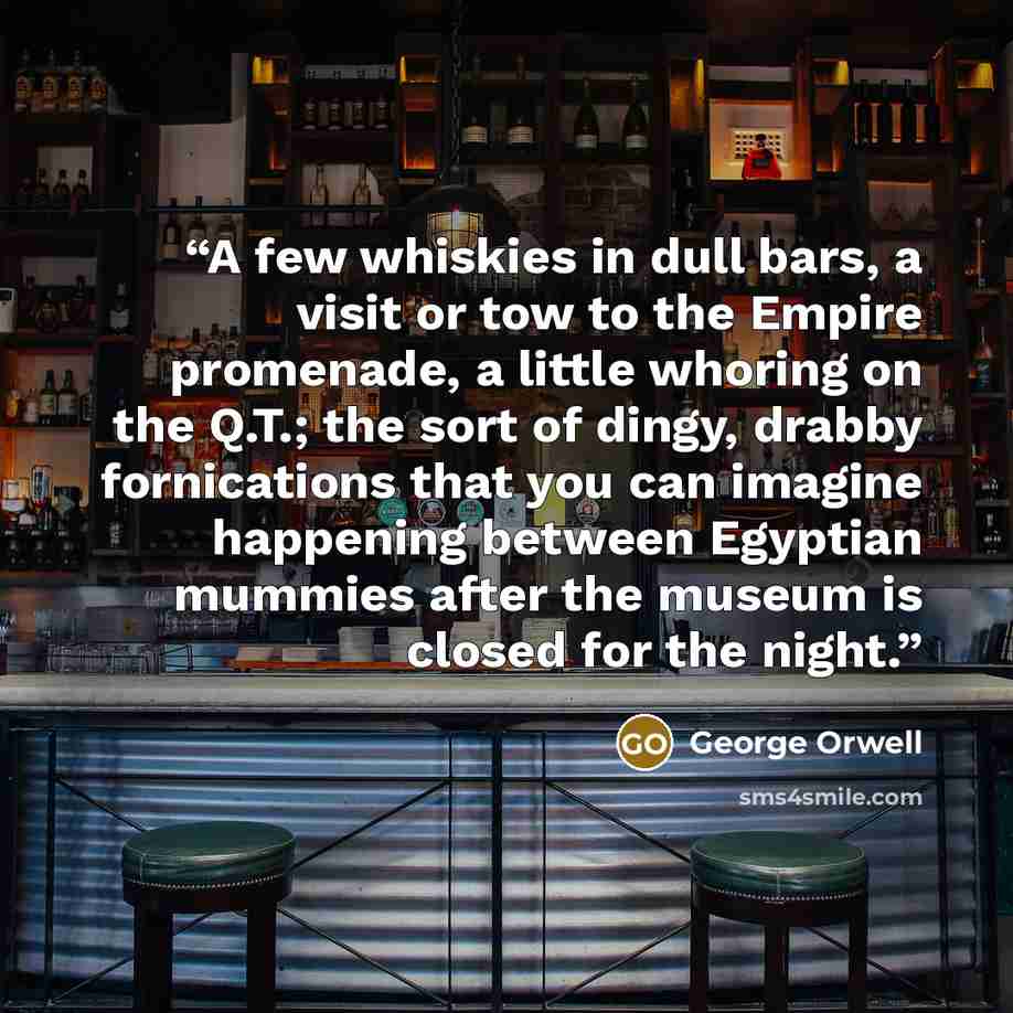 “A few whiskies in dull bars, a visit or tow to the Empire promenade, a little whoring on the Q.T.; the sort of dingy, drabby fornications that you can imagine happening between Egyptian mummies after the museum is closed for the night.” quote by George Orwell