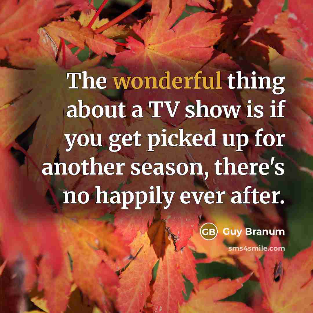 “The wonderful thing about a TV show is if you…” quote by Guy Branum