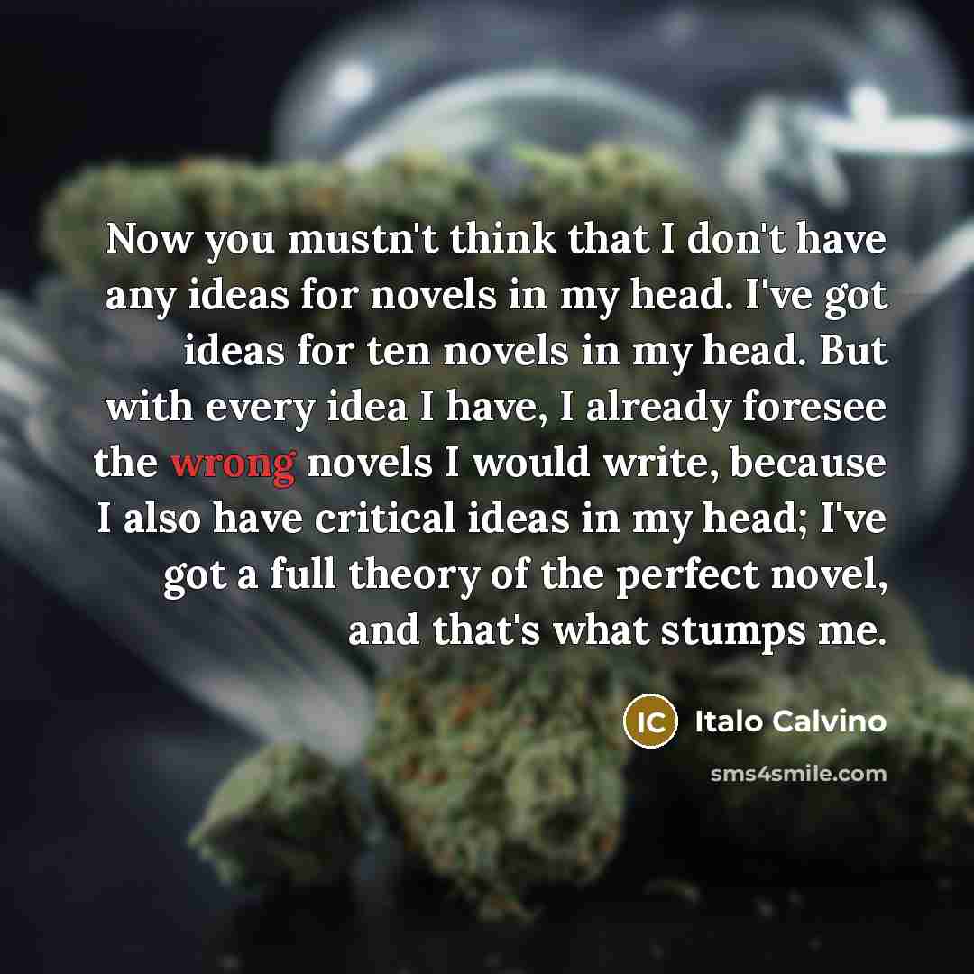 “Now you mustn't think that I don't have any ideas…” quote by Italo Calvino