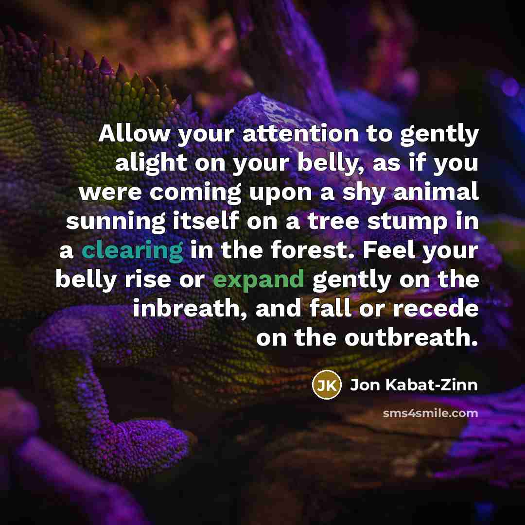 “Allow your attention to gently alight on your belly, as…” quote by Jon Kabat-Zinn