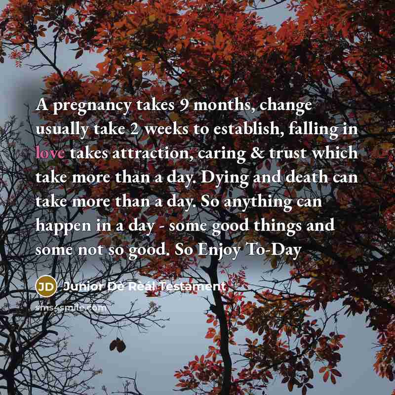 “A pregnancy takes 9 months, change usually take 2 weeks…” quote by Junior Dè Rèál Testament