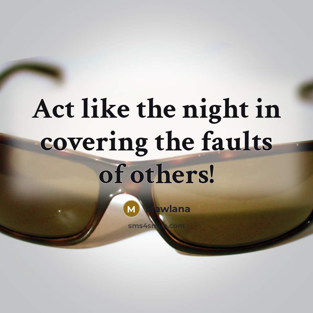 “Act like the night in covering the faults of others!…” quote by Mawlana
