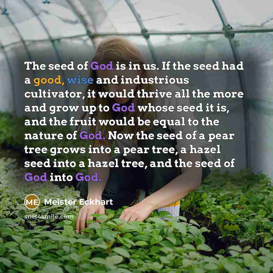 “The seed of God is in us. If the seed…” quote by Meister Eckhart