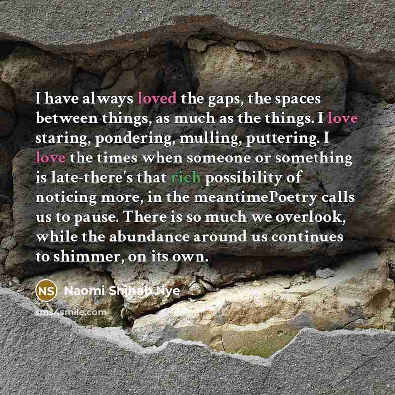 “I have always loved the gaps, the spaces between things,…” quote by Naomi Shihab Nye