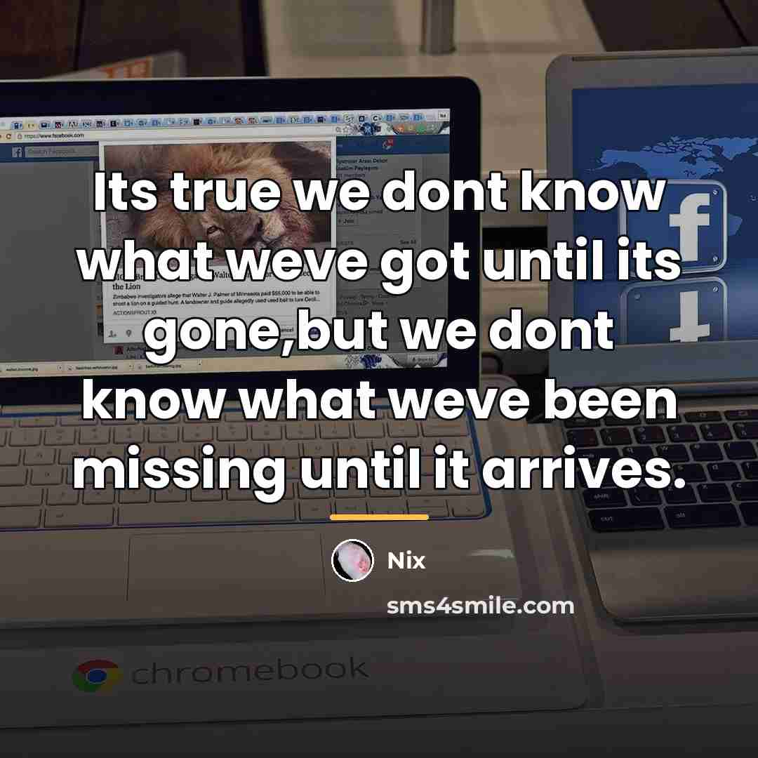 “Its true we dont know what weve got until its…” quote by Nix