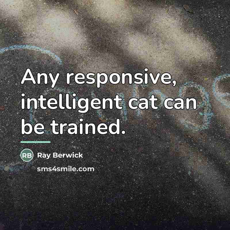 “Any responsive, intelligent cat can be trained.…” quote by Ray Berwick