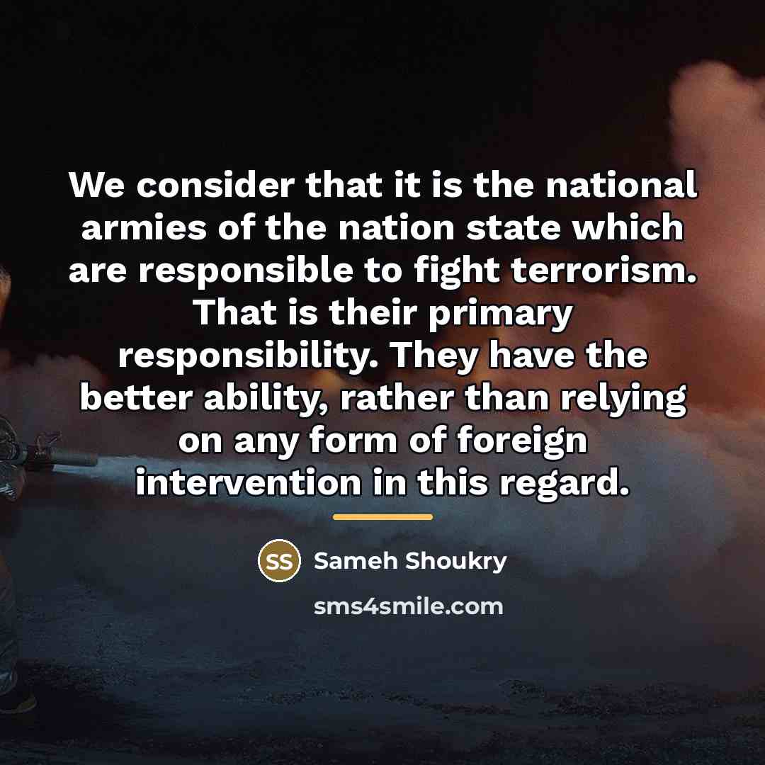 “We consider that it is the national armies of the…” quote by Sameh Shoukry