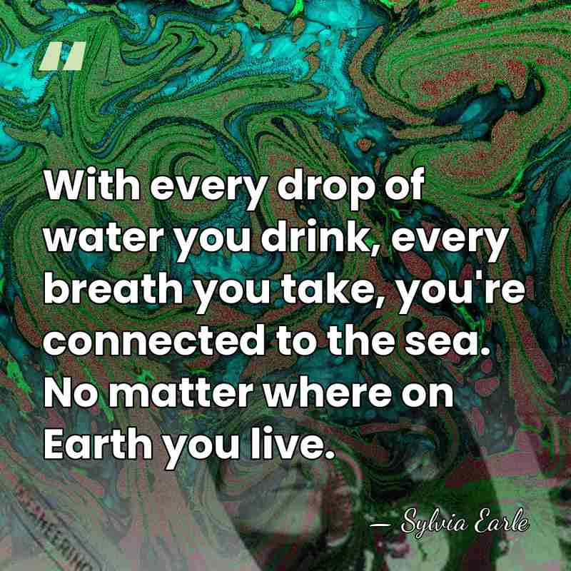 With every drop of water you drink, every breath you take, you're&hellip; - Sylvia Earle