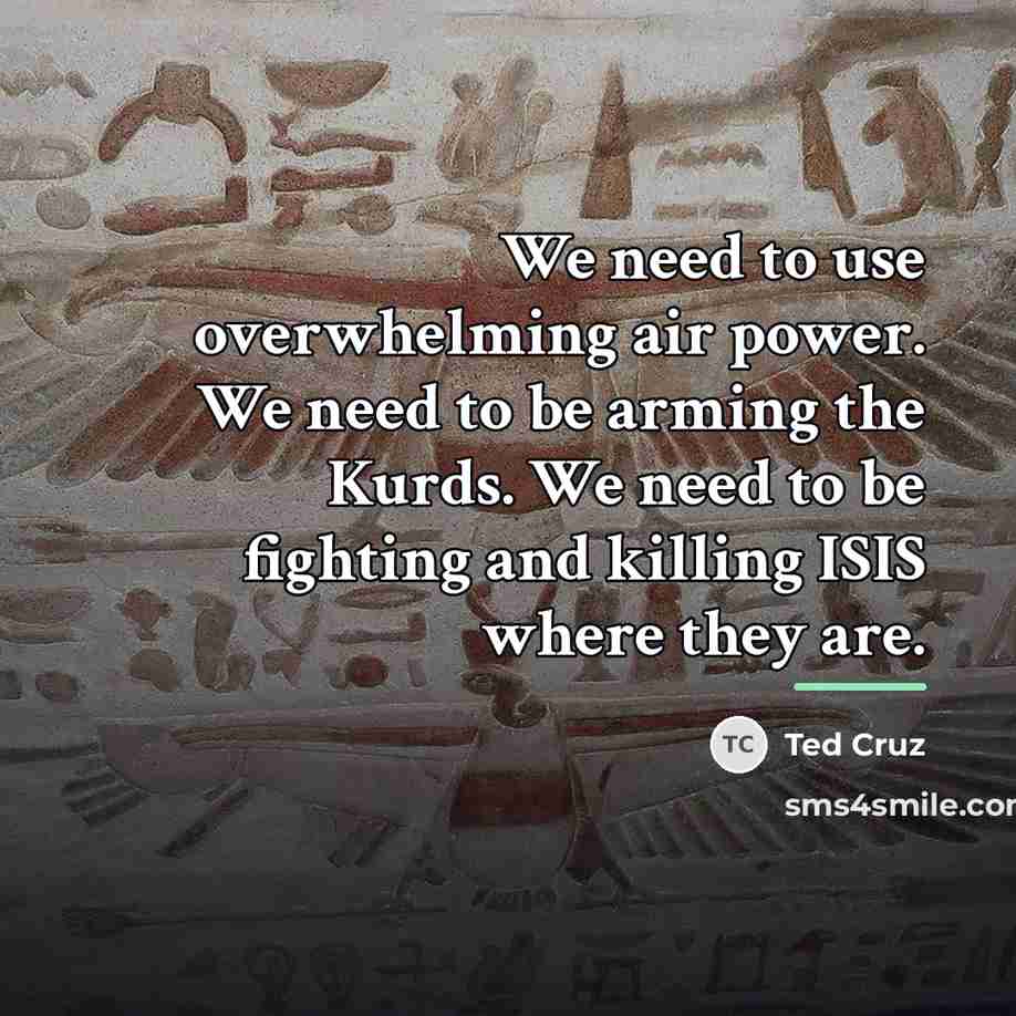 “We need to use overwhelming air power. We need to…” quote by Ted Cruz