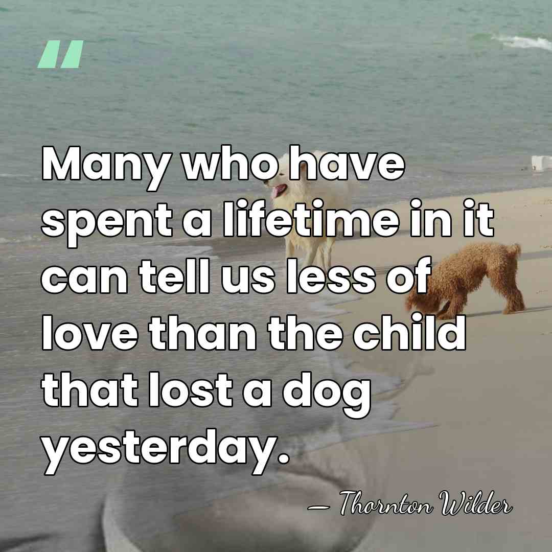 Many who have spent a lifetime in it can tell us less&hellip; - Thornton Wilder