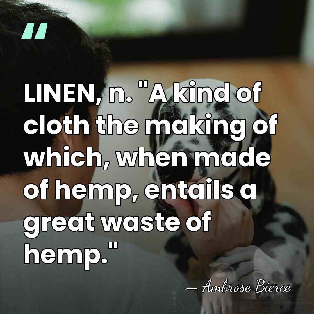 LINEN, n. "A kind of cloth the making of which, when made&hellip; - Ambrose Bierce