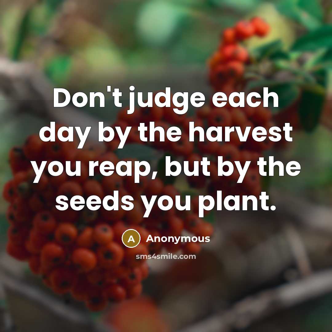 “Don't judge each day by the harvest you reap, but by the seeds you plant.” quote by Anonymous