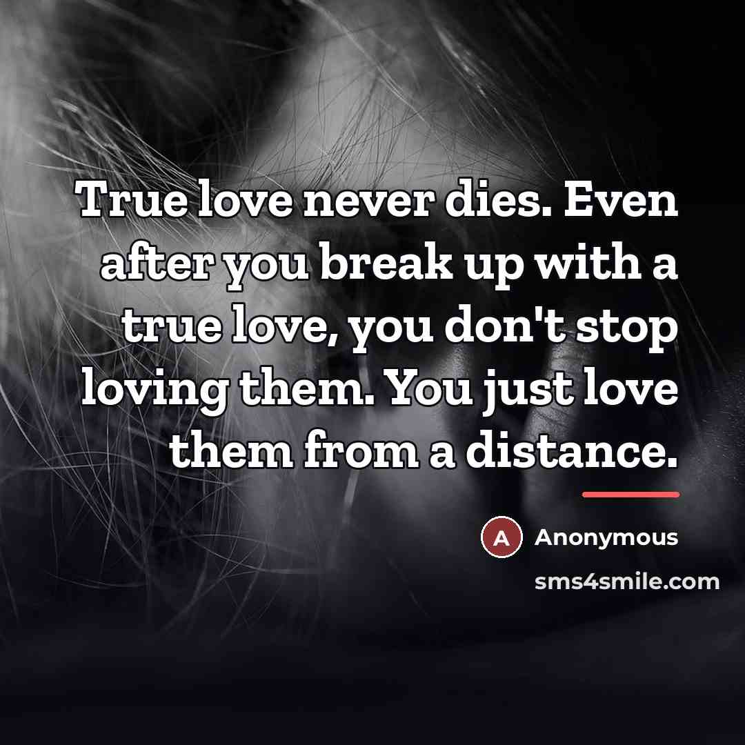 “True love never dies. Even after you break up with…” quote by Anonymous
