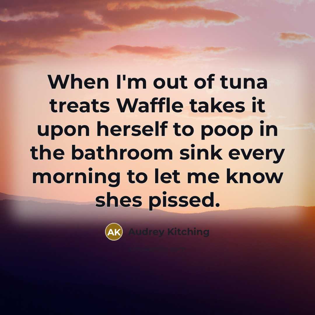 “When I'm out of tuna treats Waffle takes it upon…” quote by Audrey Kitching