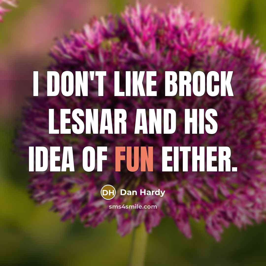 “I don't like Brock Lesnar and his idea of fun…” quote by Dan Hardy