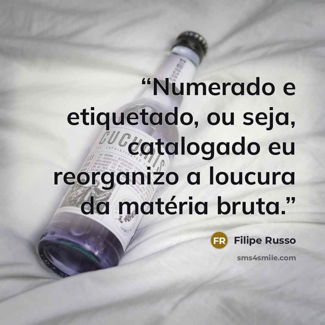 “Numerado e etiquetado, ou seja, catalogado eu reorganizo a loucura da matéria bruta.” quote by Filipe Russo