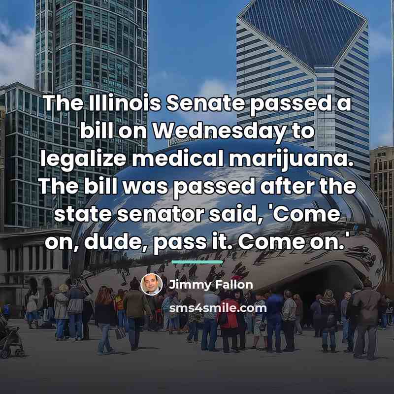 “The Illinois Senate passed a bill on Wednesday to legalize…” quote by Jimmy Fallon