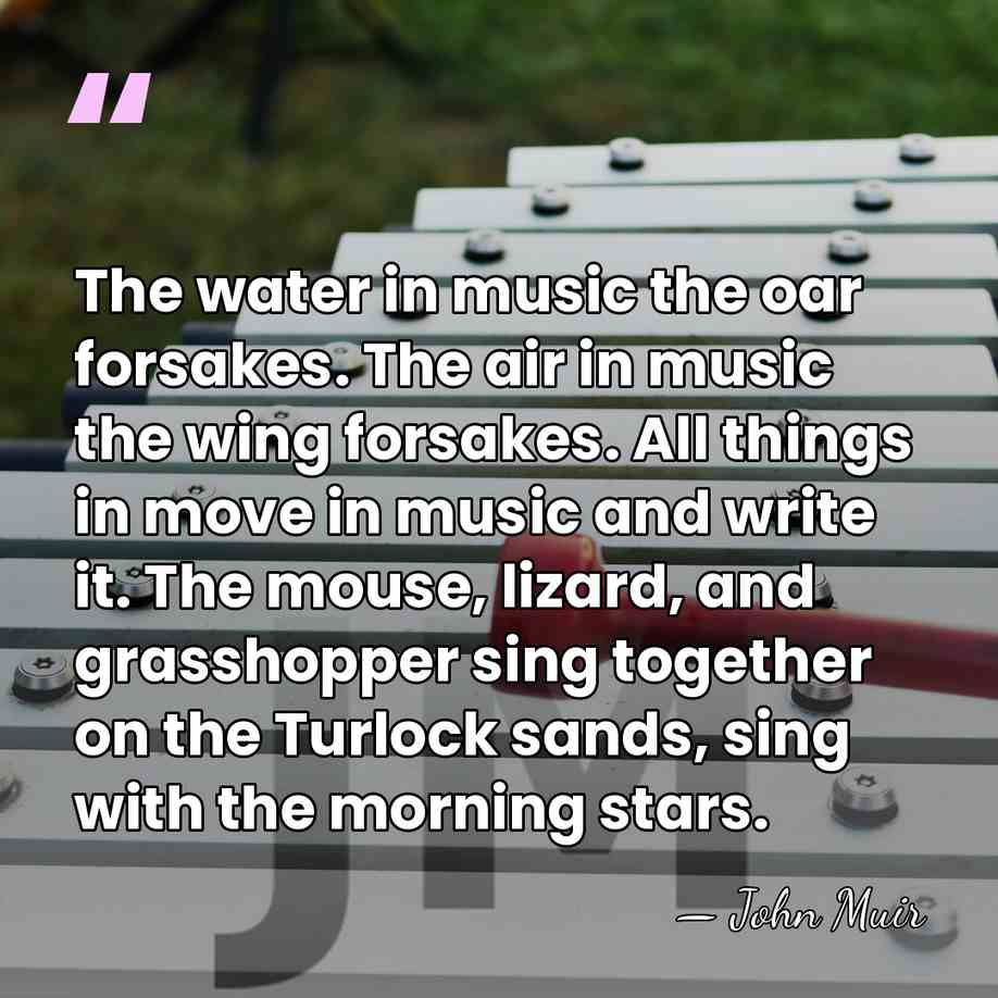 The water in music the oar forsakes. The air in music the&hellip; - John Muir