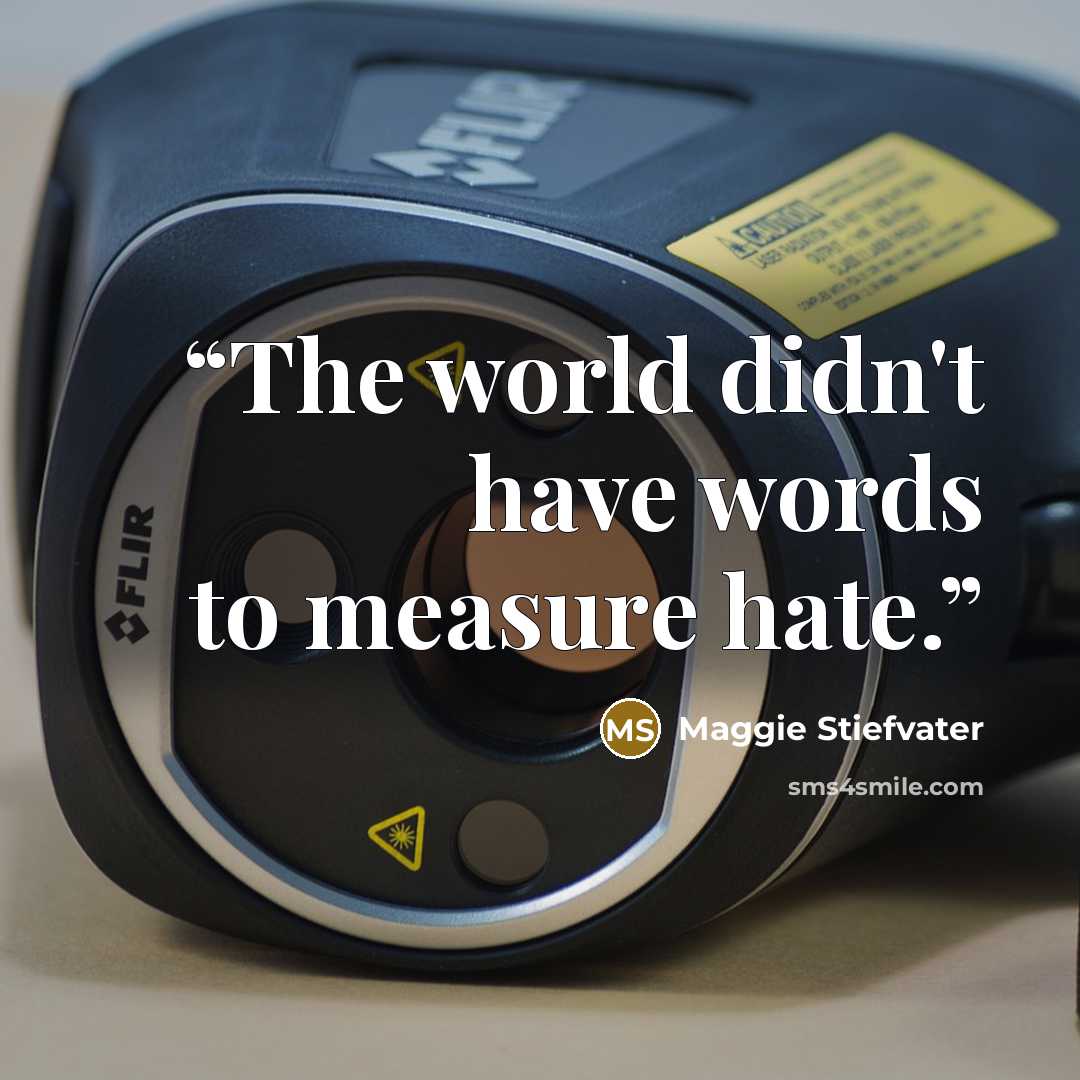 “The world didn't have words to measure hate.” quote by Maggie Stiefvater