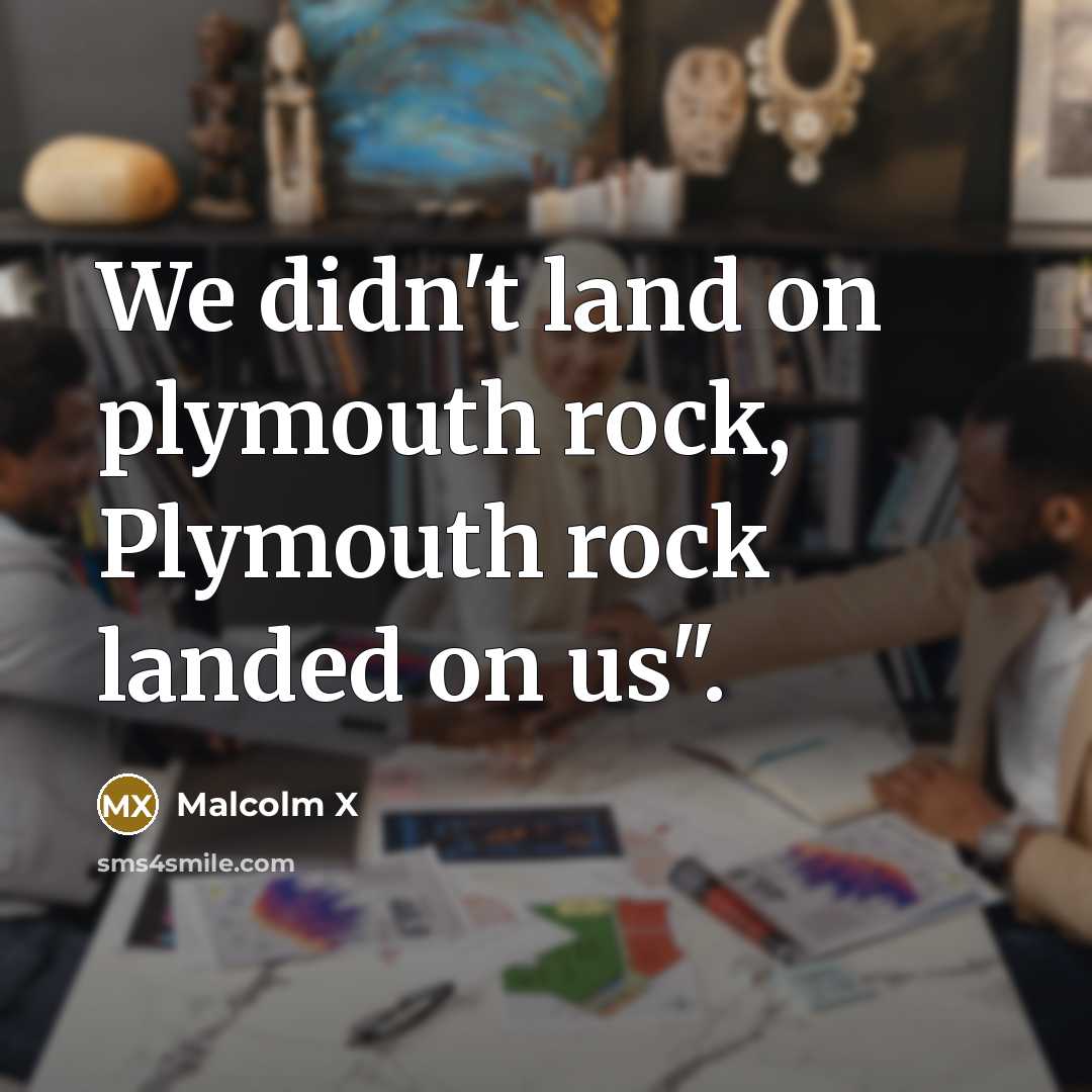 “We didn't land on plymouth rock, Plymouth rock landed on…” quote by Malcolm X