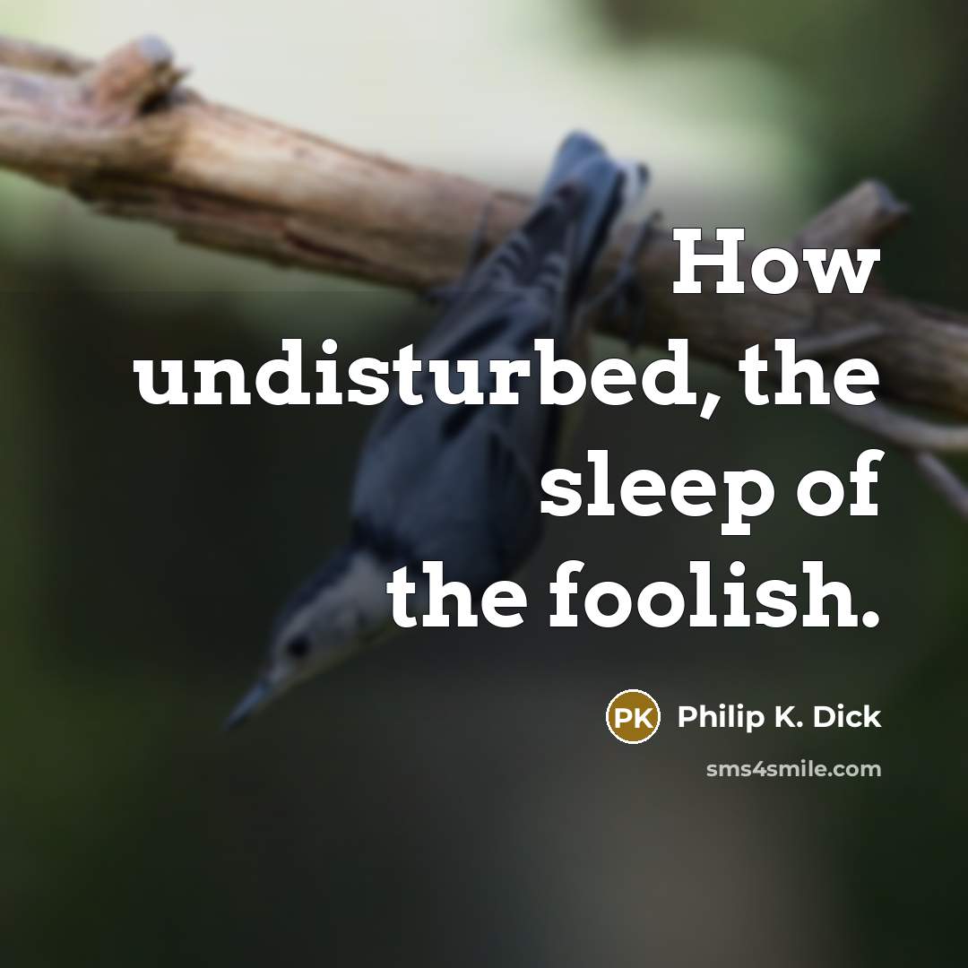 “How undisturbed, the sleep of the foolish.…” quote by Philip K. Dick