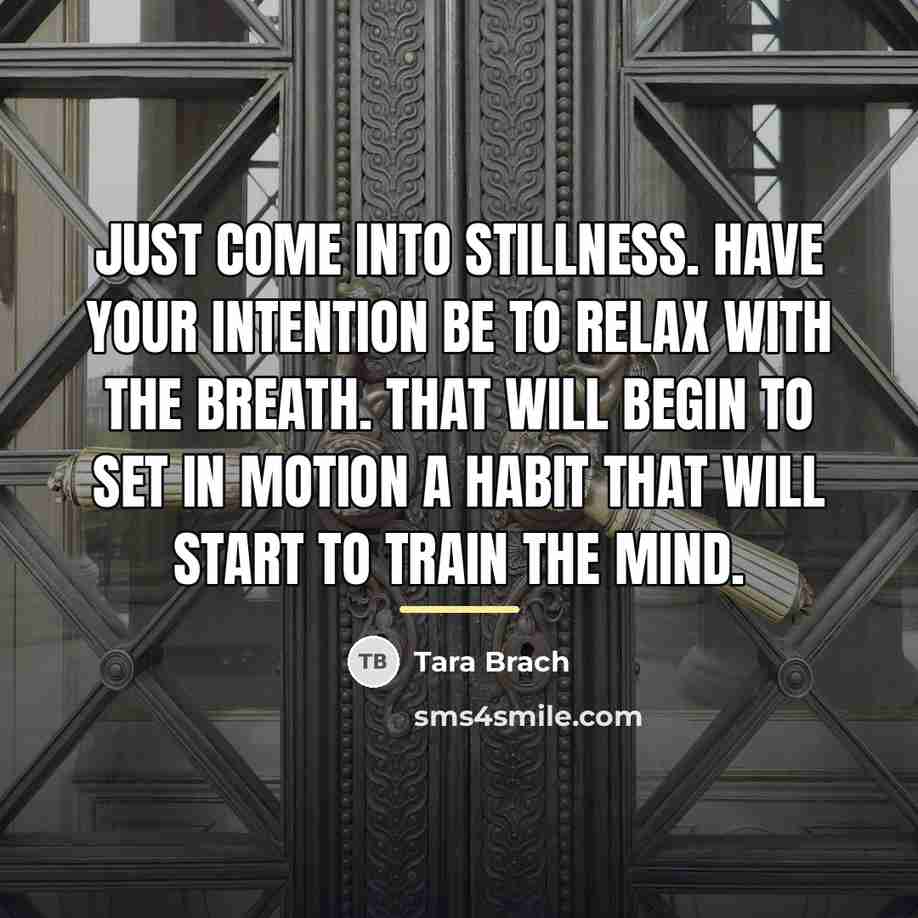 “Just come into stillness. Have your intention be to relax…” quote by Tara Brach